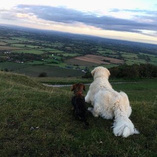 Profile Picture of Alexander Charles John Fenton (@acjfenton) on Instagram