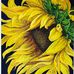 Profile Picture of Sharon Hinds (@sharon.hinds.14224) on Facebook