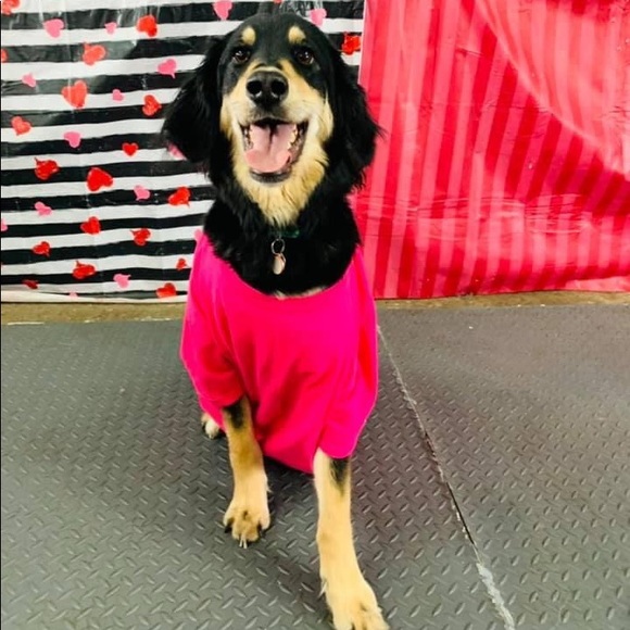 Profile Picture of Sarah Winslade (@winslades) on Poshmark