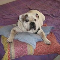 Profile Picture of Jerry Guy Seifert (@jerry-guy-seifert) on Quora