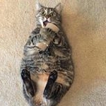 Profile Picture of Bob (@bob.de.downie) on Instagram