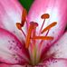 Profile Picture of Yolanda Abrams (@yolanda.abrams.10) on Facebook