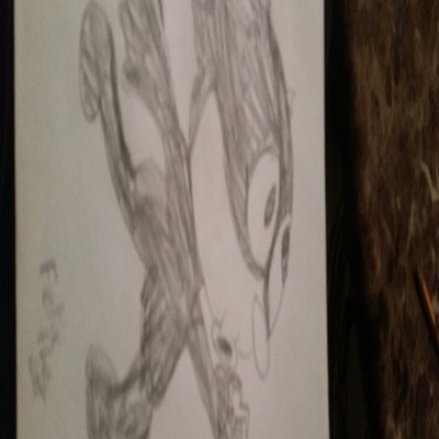 Profile Picture of Shannon Warnick (@swarnick12) on Twitter