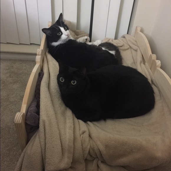 Profile Picture of Wenyu Xiang (@xiangwy) on Poshmark