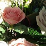 Profile Picture of Ruth Morgan Nesbitt (@nesbittruth) on Instagram