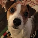 Profile Picture of Pamela Hacker (@pamzprimitives) on Instagram