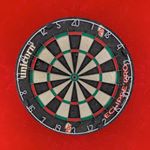 Profile Picture of Jan David Darts (@jandavid180) on Instagram