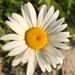 Profile Picture of mattea huffman (@matteahuffman) on Pinterest