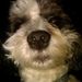 Profile Picture of Stephanie Coggins (@scoggins78) on Pinterest