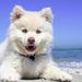 Profile Picture of Amy Wheeldon (@amywheeldon101) on Pinterest