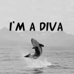 Jessica Lorenzano - Instagram Profile Picture of Jessica Lorenzano (@jl2016_) on Instagram