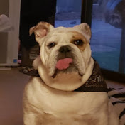 Chris Merchant - Youtube Profile Picture of Chris Merchant (@cpmerchant) on Youtube