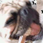 Profile Picture of Marcel’s biggest fan (@marcel._.fanpage) on Instagram
