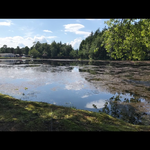 Profile Picture of Robin Price (@price2write) on Poshmark