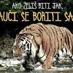 Profile Picture of Dragiša Jovanović (@dragisajovanovic76) on Instagram