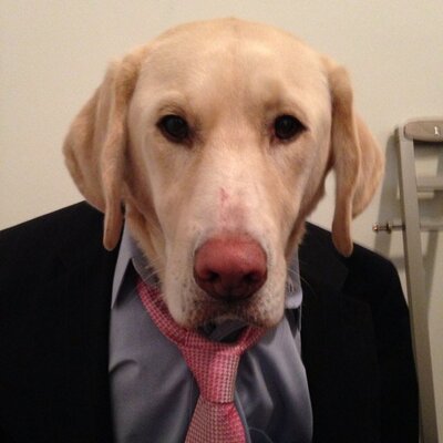 Profile Picture of Patrick Noone (@patricknoone24) on Twitter
