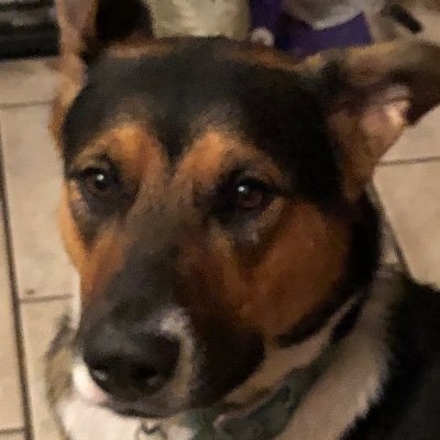 Profile Picture of Sean Simms (@SeanSimms7) on Twitter