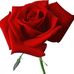 Profile Picture of Weslum Heng (@Weslum-Heng) on Facebook
