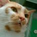 Profile Picture of Terence Baker (@terence.baker.1088) on Facebook