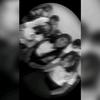 Profile Picture of Landero (@nancylandero2) on Tiktok