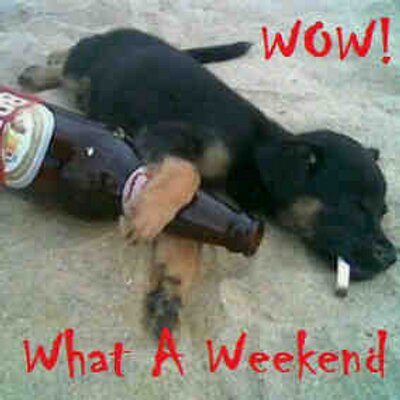 Profile Picture of Mark Springer (@markspringer10) on Twitter