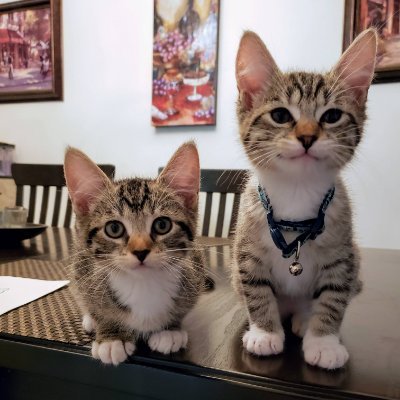 Profile Picture of ExoWJ (@JeffStroud16) on Twitter