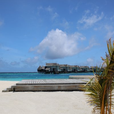 Profile Picture of Lingbo Li (@okiy5770) on Twitter