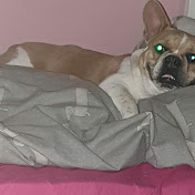 Profile Picture of Andrew Weir (@andrewweir7887) on Youtube