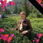 Profile Picture of Eleanor Brisson (@Eleanor-Brisson) on Facebook
