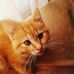 Profile Picture of Andrew Zeilinger (@Andrew-Zeilinger) on Facebook