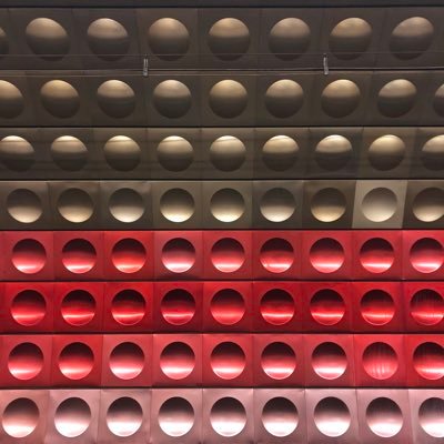 Profile Picture of Daniel Rhys Thomas (@DanielRhysThom1) on Twitter