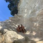 Profile Picture of Jessie Whittaker (@jessiekatt) on Instagram