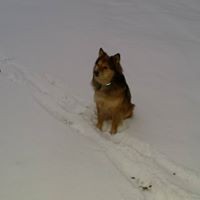 Profile Picture of Ben Steele (@ben-steele-44) on Quora