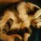 Profile Picture of Jo Latimer (@jo.latimer.90) on Facebook