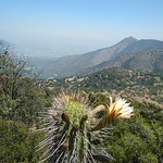 Profile Picture of Daniel Cubillos (@danielcubillosf) on Flickr