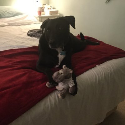 Profile Picture of Lucy Small (@lucy_lucysmall) on Twitter