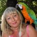 Profile Picture of Lori Basilotta (@loribee831) on Pinterest