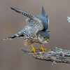 Profile Picture of Eric Lu Photography (@Eric Lu Photography) on Flickr