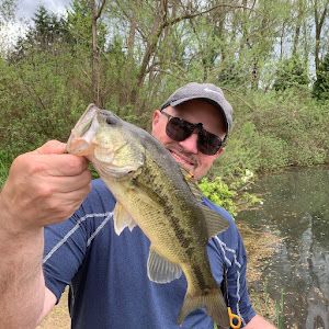 Profile Picture of Michael LaClear (@michael.laclear) on Tiktok