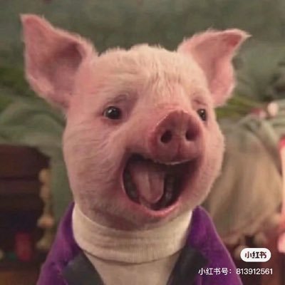 Profile Picture of Pei Ting (@peiting15195902) on Twitter