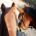 Profile Picture of Lisa Prüß (@lisa_pruess) on Instagram