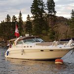 Profile Picture of Mark Burley (@burleyboating) on Instagram