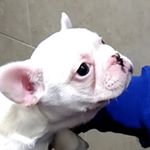 Profile Picture of James Henry Nicholas Martin (@mynameishenry._) on Instagram