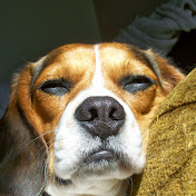 Profile Picture of Brad Fuller (@bradfuller8355) on Youtube