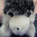 Profile Picture of Leon Gießmann (@tobiastarst) on Instagram
