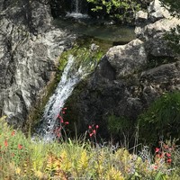 Profile Picture of Tory Harter (@tory-harter) on Quora