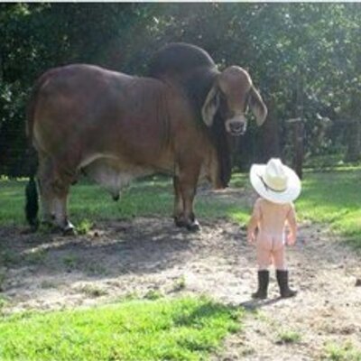 Profile Picture of Harold Raymond (@harold_raymond) on Twitter