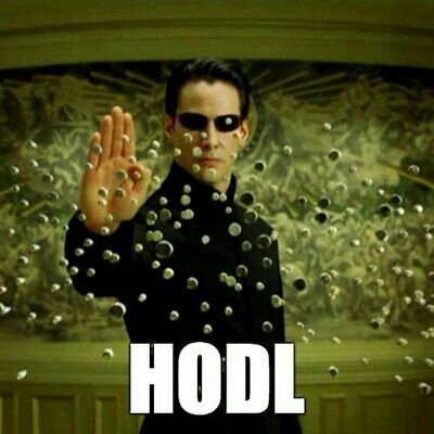 Profile Picture of Thomas Anderson (@777crypto777) on Twitter