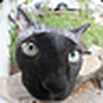 Profile Picture of Little-bitt (@little-bitt) on Flickr