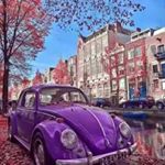 Profile Picture of jean cavanaugh (@jcavan0313) on Instagram